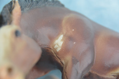 Liver Chestnut Scratching Foal