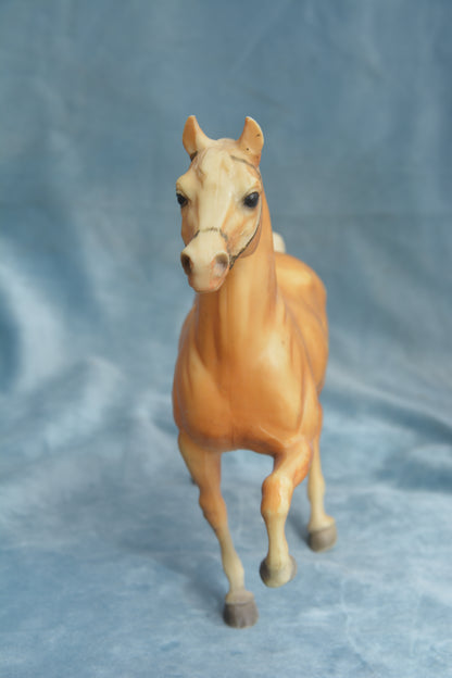 Cheyenne