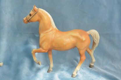 Cheyenne