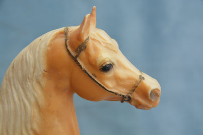 Cheyenne