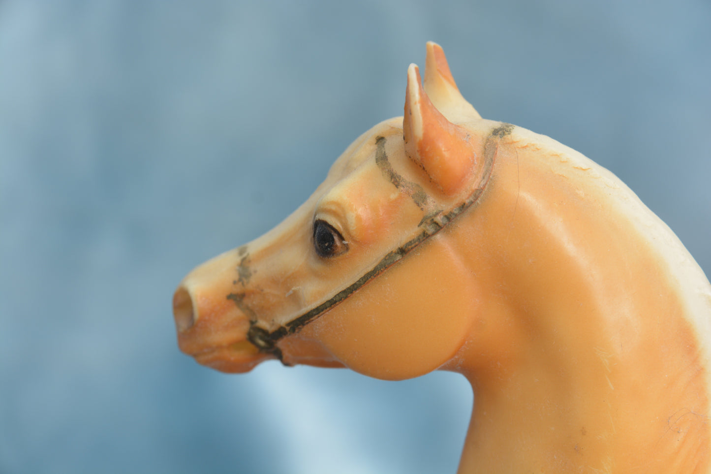 Cheyenne