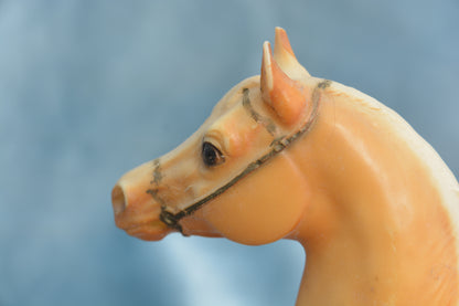 Cheyenne