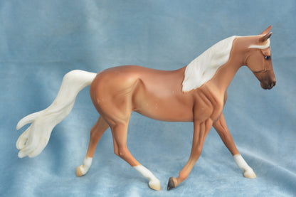 Palomino Morgan