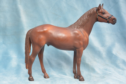 Man O' War