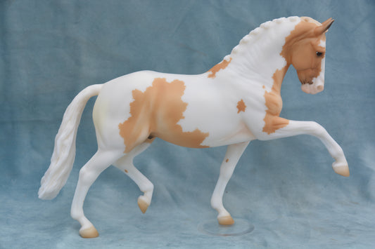 Seize The Day Surprise - Palomino Pinto (Matte)