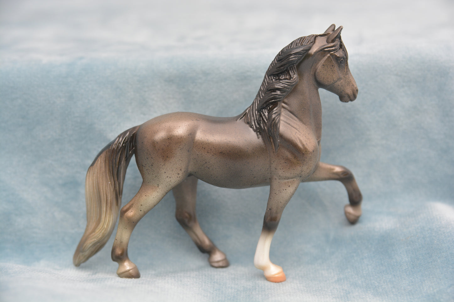 Grey Peruvian Paso