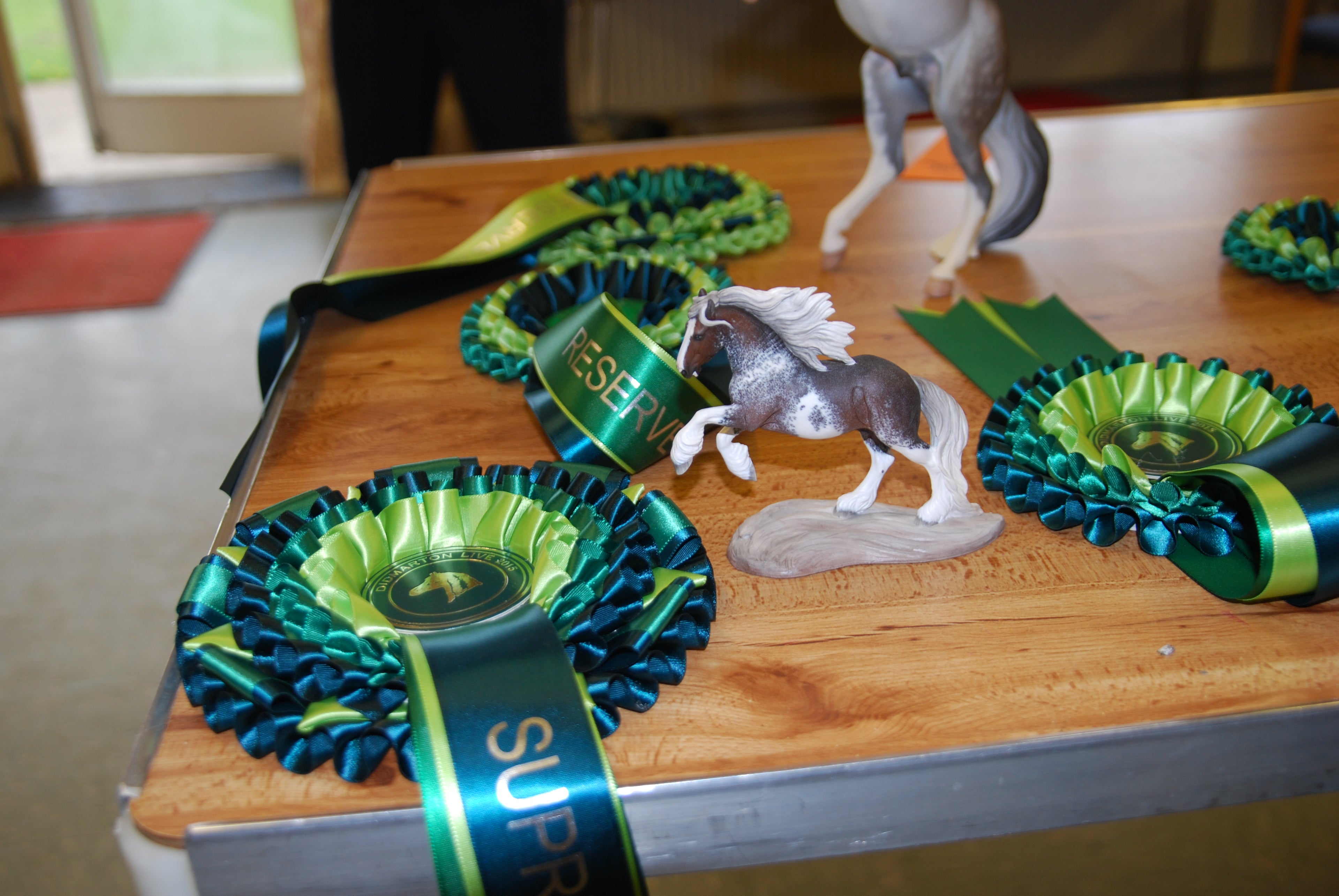 Artist Resin - Didmarton Performance and Workmanship Live 2015 Workmanship Supreme Champion