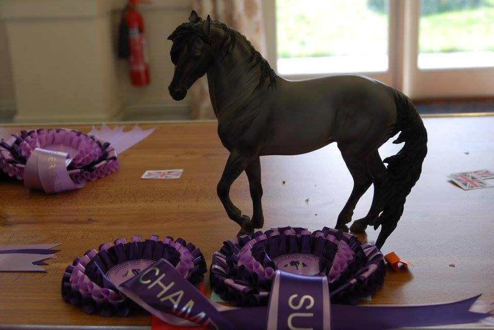 Artist Resin - Didmarton Performance and Workmanship Live 2016 Workmanship Supreme Champion