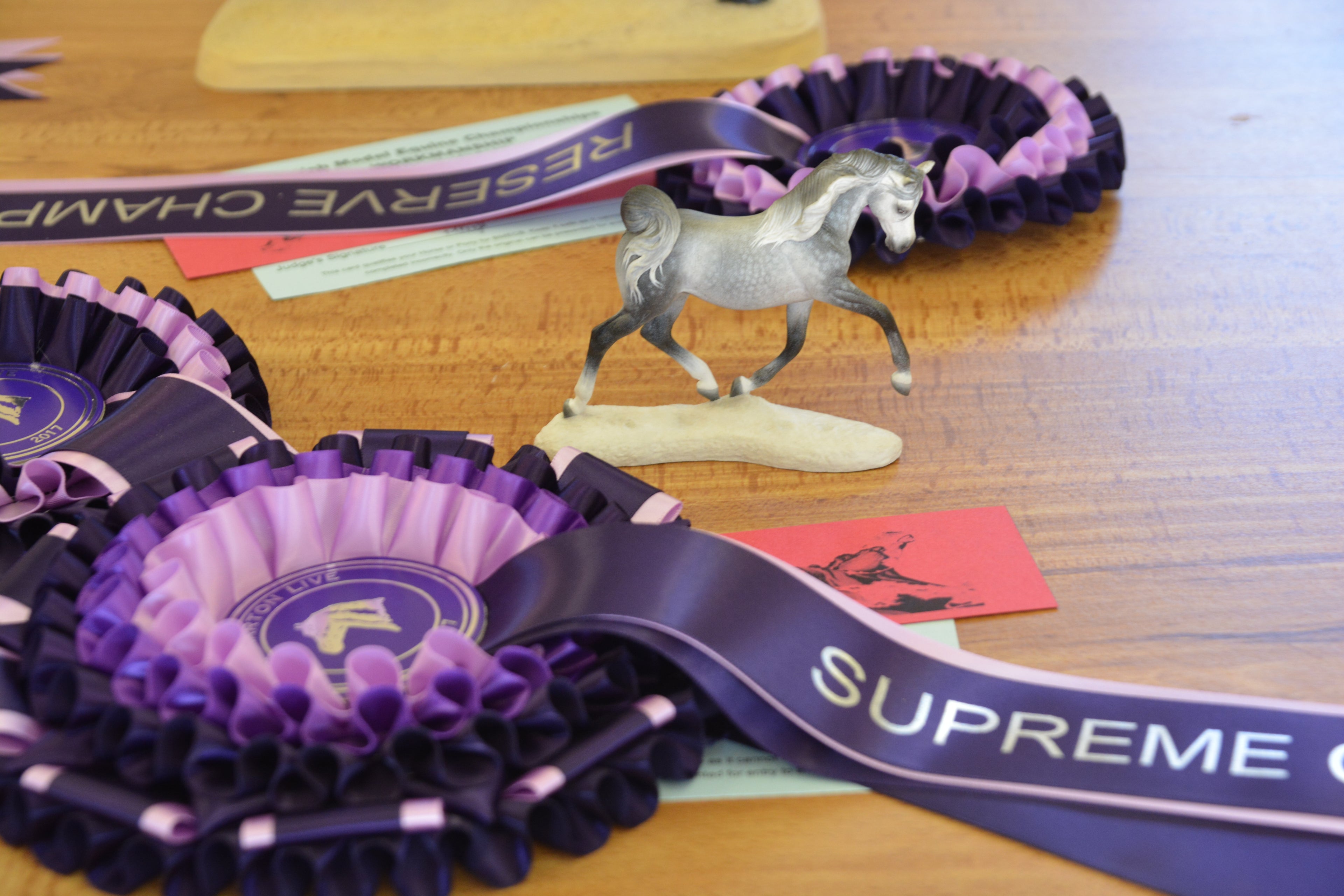 Artist Resin Arabian - Didmarton Performance and Workmanship Supreme Workmanship Champion 2017