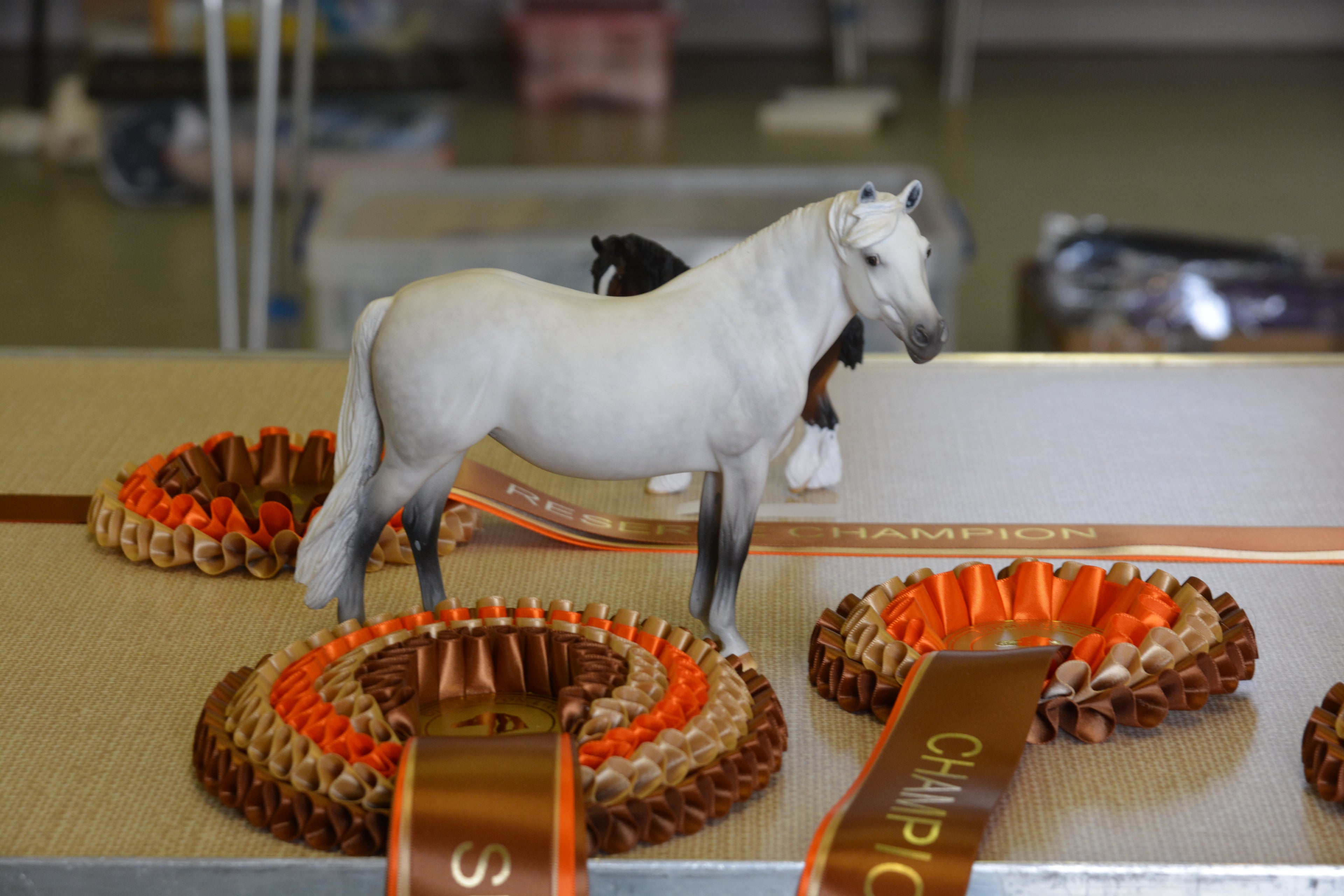 Artist Resin Connemara - Supreme Champion Didmarton Resin and China Live 2016