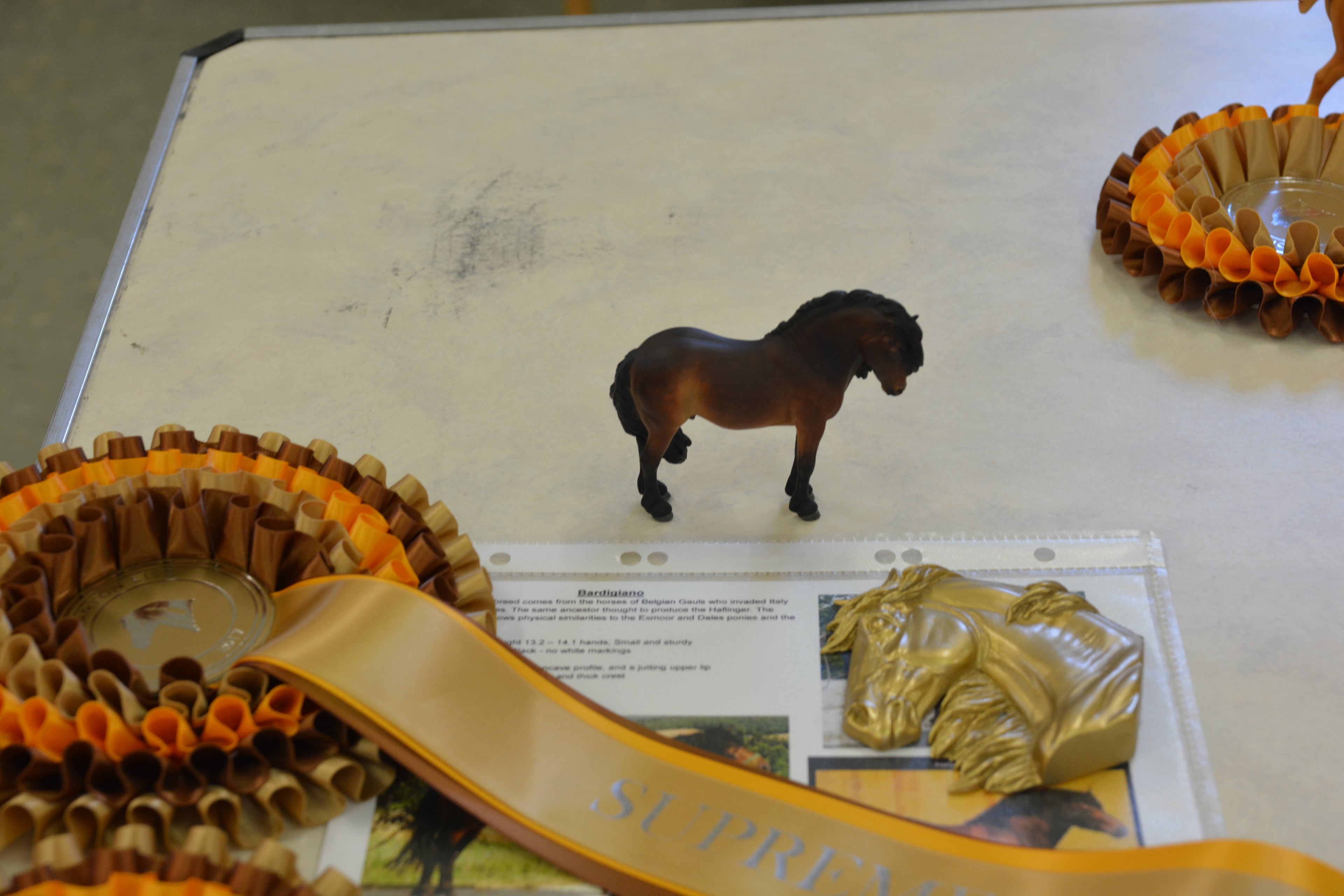 Artist Resin Bardigiano - Supreme Champion Didmarton Resin and China Live 2017