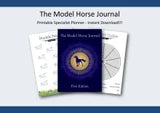 Model Horse Planner