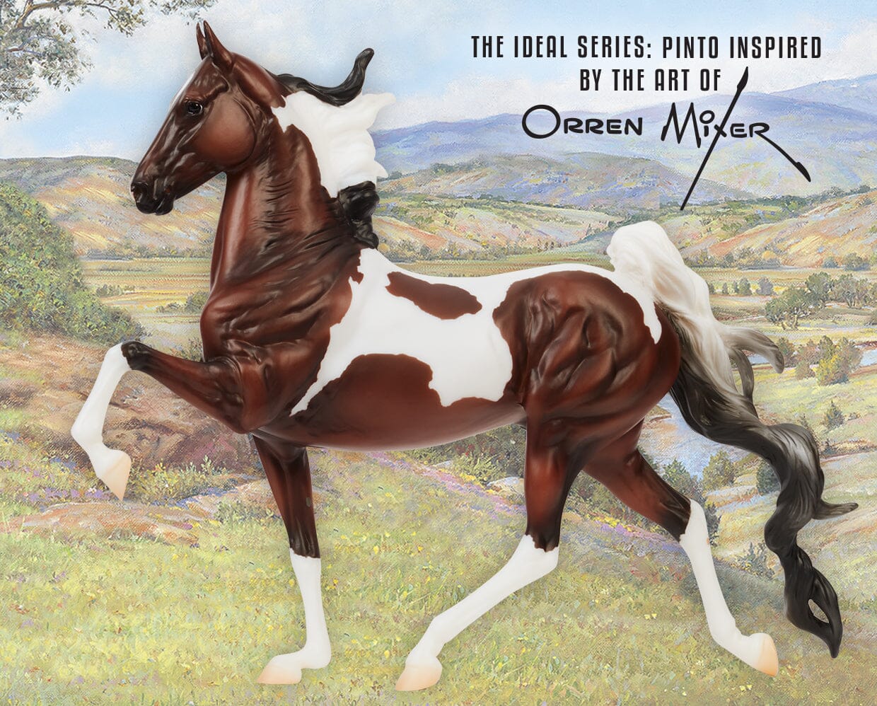 Ideal Series - Pinto Saddlebred