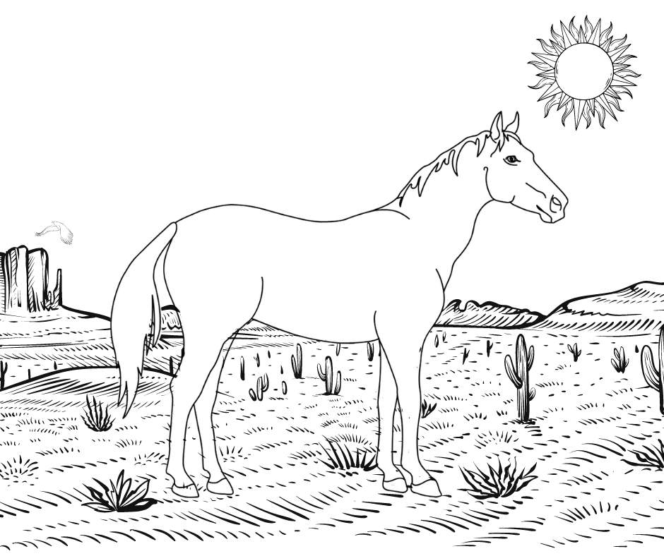 sidepull pony coloring pages